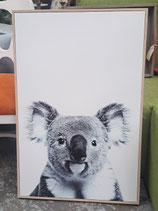 Framed Black & White Koala Print