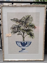 "Designer Boys" Silver Plantation & Glass Framed Potted Palm Print