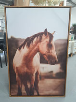 BRAND NEW Large Framed Horse Print