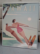 BRAND NEW Framed Skiing Hawaii Print