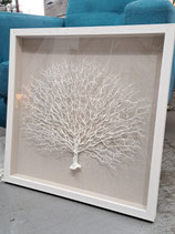 Glass Framed White Coral Wall Art