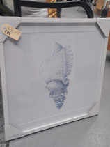 BRAND NEW Glass Framed Blue Shell Print