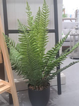 BRAND NEW Faux Potted Fern - 8 Available