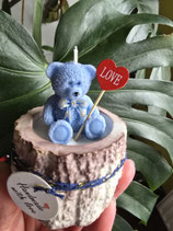 Teddybär im Holz