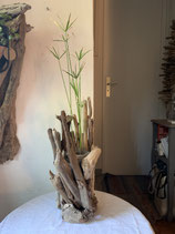 Vase en bois flotté et papyrus