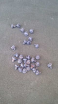 Small Screw