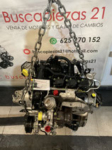 Ford C-Max 1.0 Ecoboost 125cv
