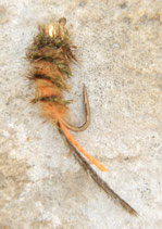 Drill Point Fishing Goldies Brown Hairy Peacock Twist - Goldkopfnymphe