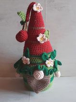 Gnome Cerise