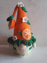 Gnome Orange