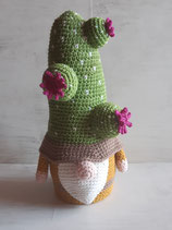 Gnome Cactus
