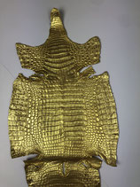 Caiman Leather gold
