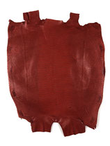 Lizard Leather red