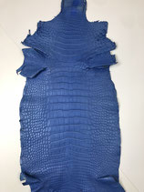 Alligator Belly sea blue 30cm