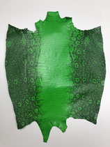 Lizard Leather commited green