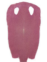 8" Stingray Leather pink