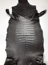 Alligator Leather Belly chocolate