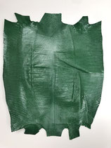 Lizard Leather dark green v