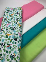 Gebuertskëssen (Safari)