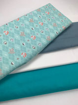 Gebuertskëssen (Fuus an Bär)