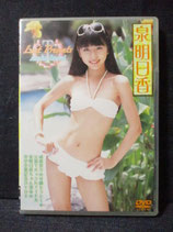 未使用品） DVD 泉明日香　Last Presents