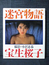 宝生桜子 写真集　迷宮物語　（秋乃桜子）