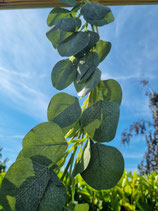 Kunstzweig "Eukalyptus"