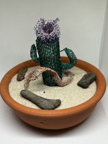 Deko Kaktee mit Blüte und Kobra in Terrakottaschale mit Sand und Treibholz