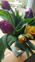 Tulpen ABO