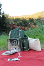 Picknick-Rucksack ausleihen - selbst füllen