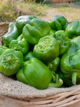 Poivrons (300g)