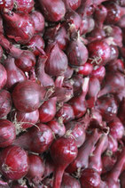 Oignons rouge (500g)