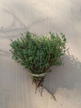 fines herbes Thym