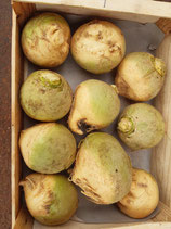 Rutabaga (500g)