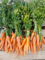Carottes botte