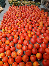 Courge Potimarron