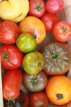Tomates (1kg)