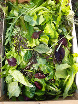 Mesclun (250g)