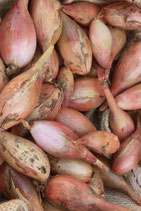 Echalotes (250g)