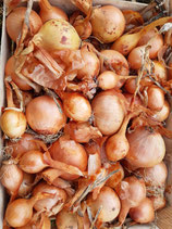 Oignons (500g)