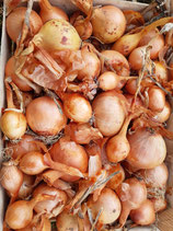 Oignons (1kg)