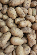 Patates nouvelles Charlotte (1kg)