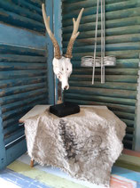 Shabby linnen doek met dennenboom print