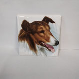 Carreau Carrelage Faience De Desvres 10,8cm Chien
