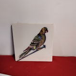 Ancien Carreau Décor Oiseau Couleurs  Côté gauche Faience De Delft 13cm épaisseur 1cm