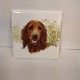Carreau Carrelage Faience De Desvres 10,8cm Chien
