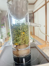 蒸留スキルアップ1日講座