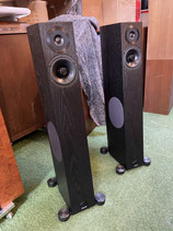 Audio Physic Tempo 25 Esche schwarz Standlautsprecher