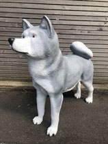 21092025 Husky Hund Figur lebensgroß