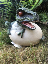 RIBEL1106 T-Rex Baby Dinosaurier Figur